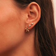 Pendientes Brillantes en Forma de Hoja