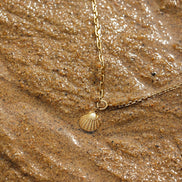 Collar de Conchas del Mar