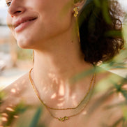 Pendientes Brillantes en Forma de Hoja