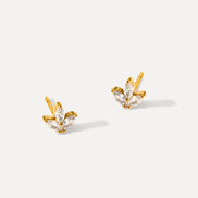 Pendientes Brillantes en Forma de Hoja