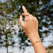 Anillo de Sueños Épicos