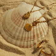 Collar de Conchas del Mar