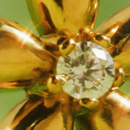Pendientes de Flor Elegante